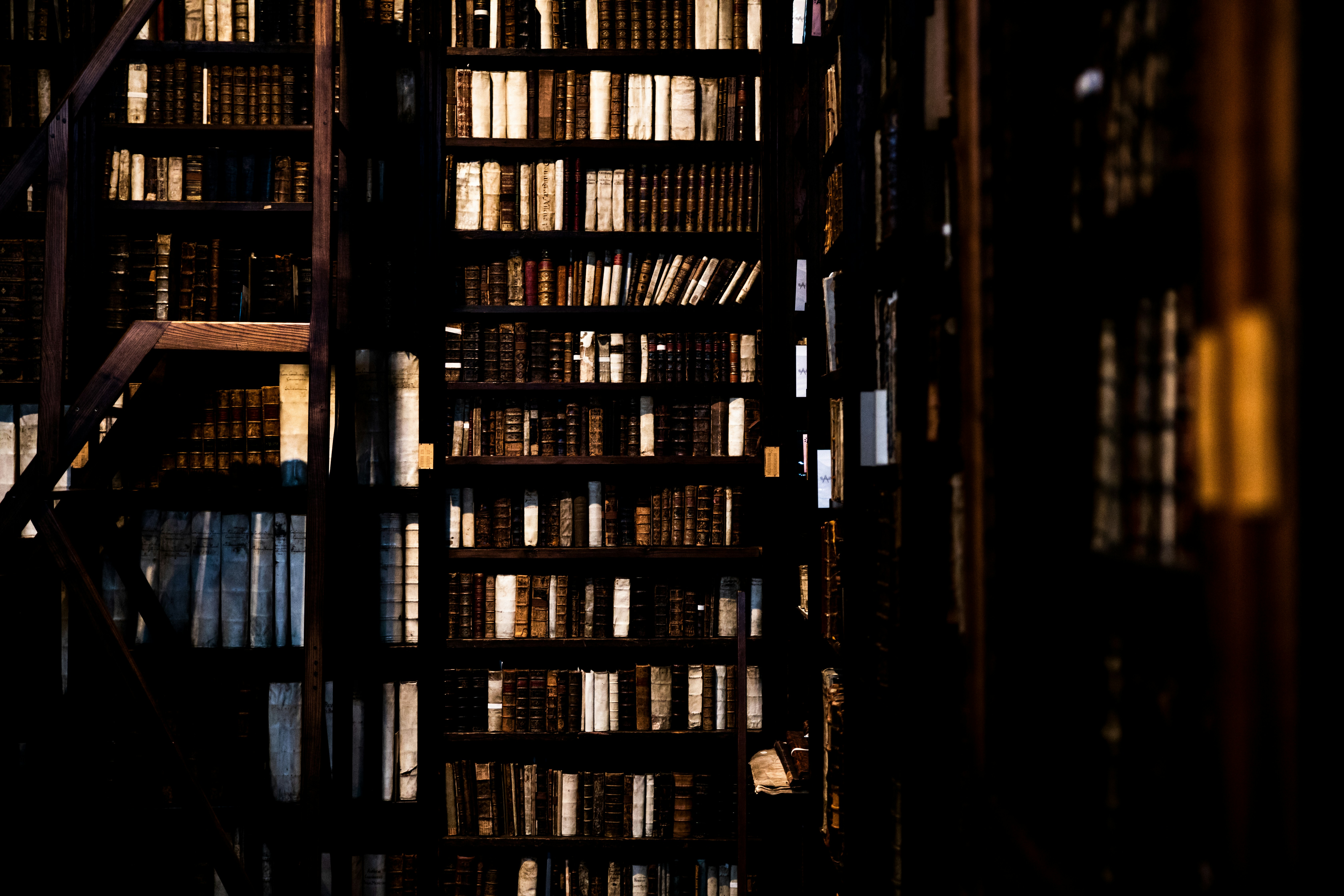 Shelves of books